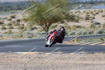 media/Apr-14-2024-SoCal Trackdays (Sun) [[70f97d3d4f]]/1-Turn 5 Tree of Life (920am)/